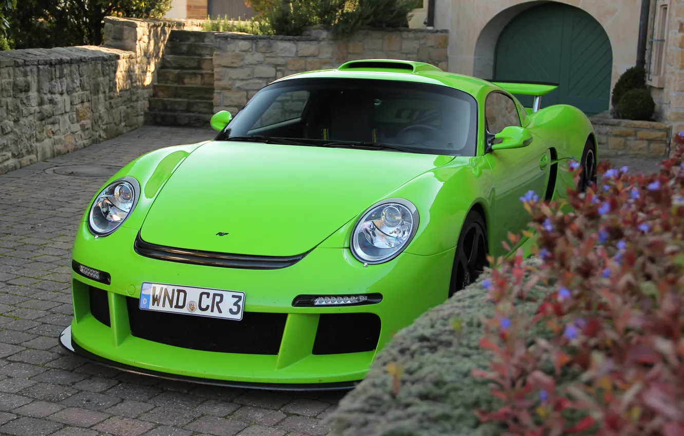 Photo wallpaper flowers, green, house, green, tuning, Porsche, the stairs, house