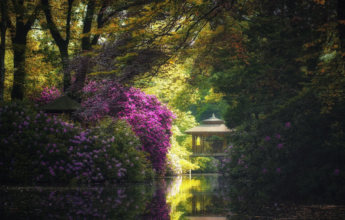 Photo wallpaper water, gazebo, the bushes, Azalea