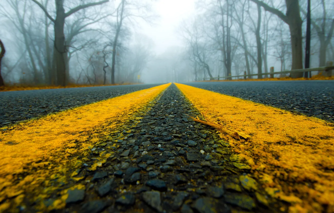 Photo wallpaper road, macro, fog