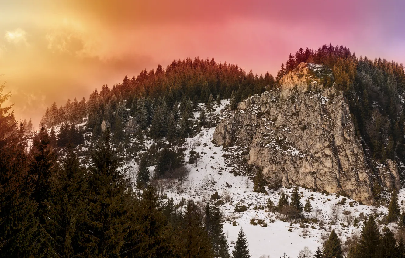 Photo wallpaper light, sky, trees, sunset, winter, mountains, clouds, snow