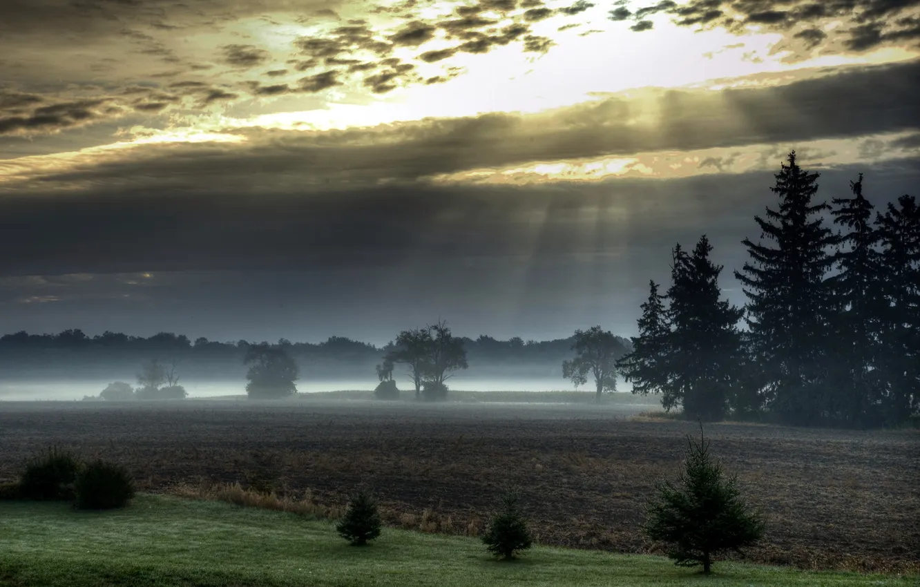 Photo wallpaper field, landscape, sunset, fog