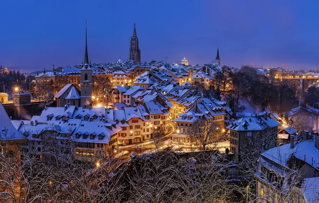 Photo wallpaper winter, roof, the sky, light, snow, branches, the city, lights