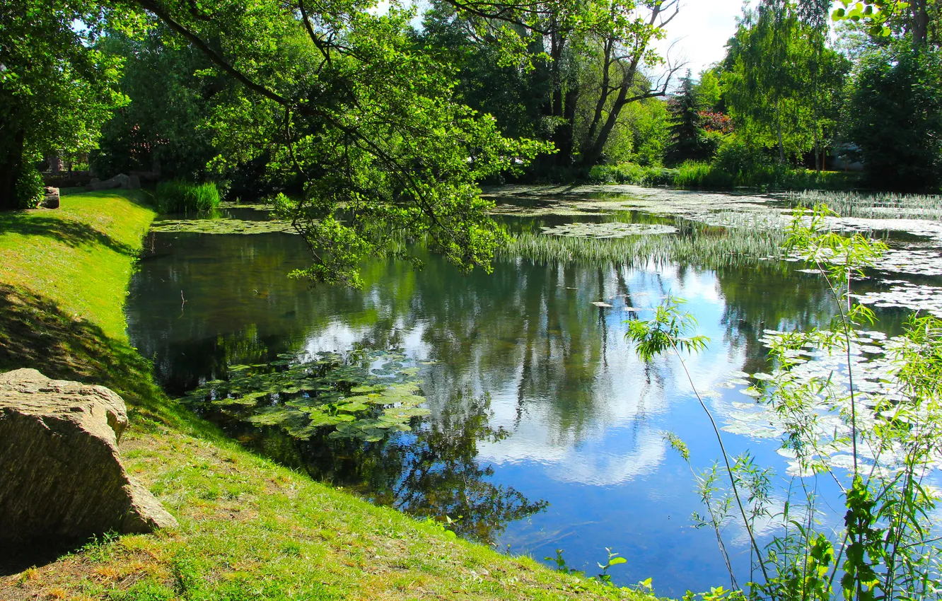 Photo wallpaper park, lake, pond