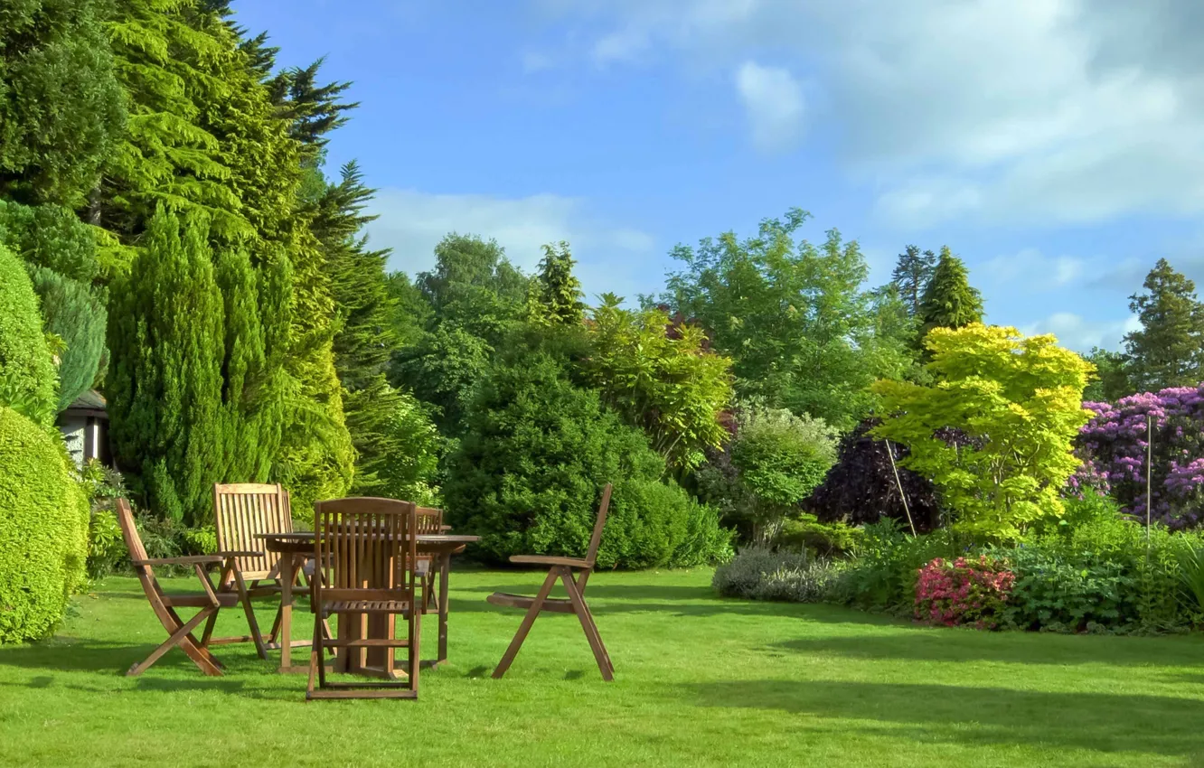 Photo wallpaper the sky, clouds, trees, landscape, flowers, nature, table, lawn