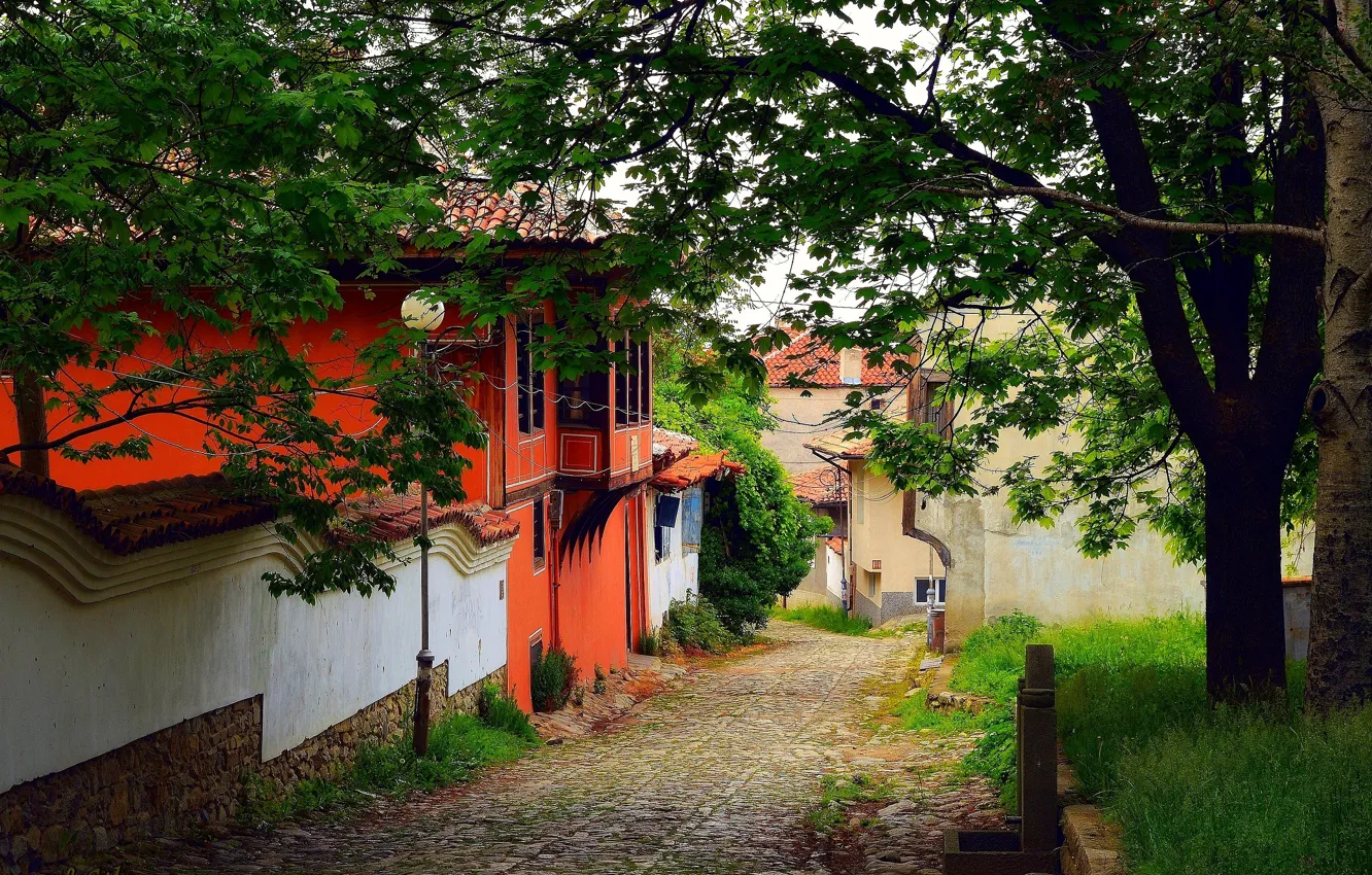 Photo wallpaper Nature, Tree, Nature, Tree, Village, Old house, Old house
