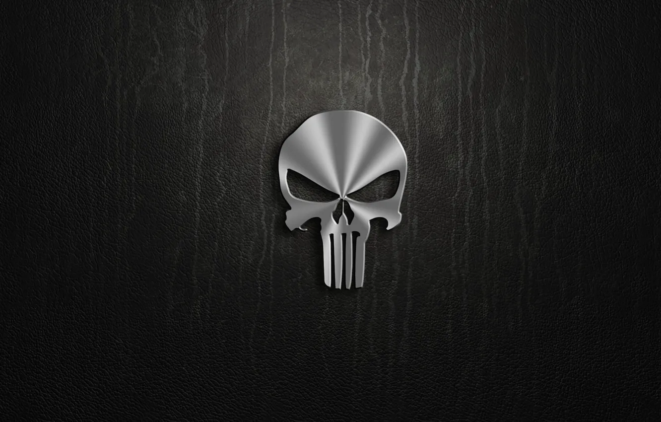 Photo wallpaper sake, Marvel, Comics, metall, The Punisher