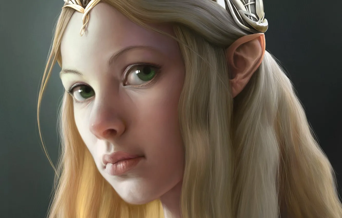 Photo wallpaper girl, face, the Lord of the rings, art, elf, Diadema, the lord of the rings, …
