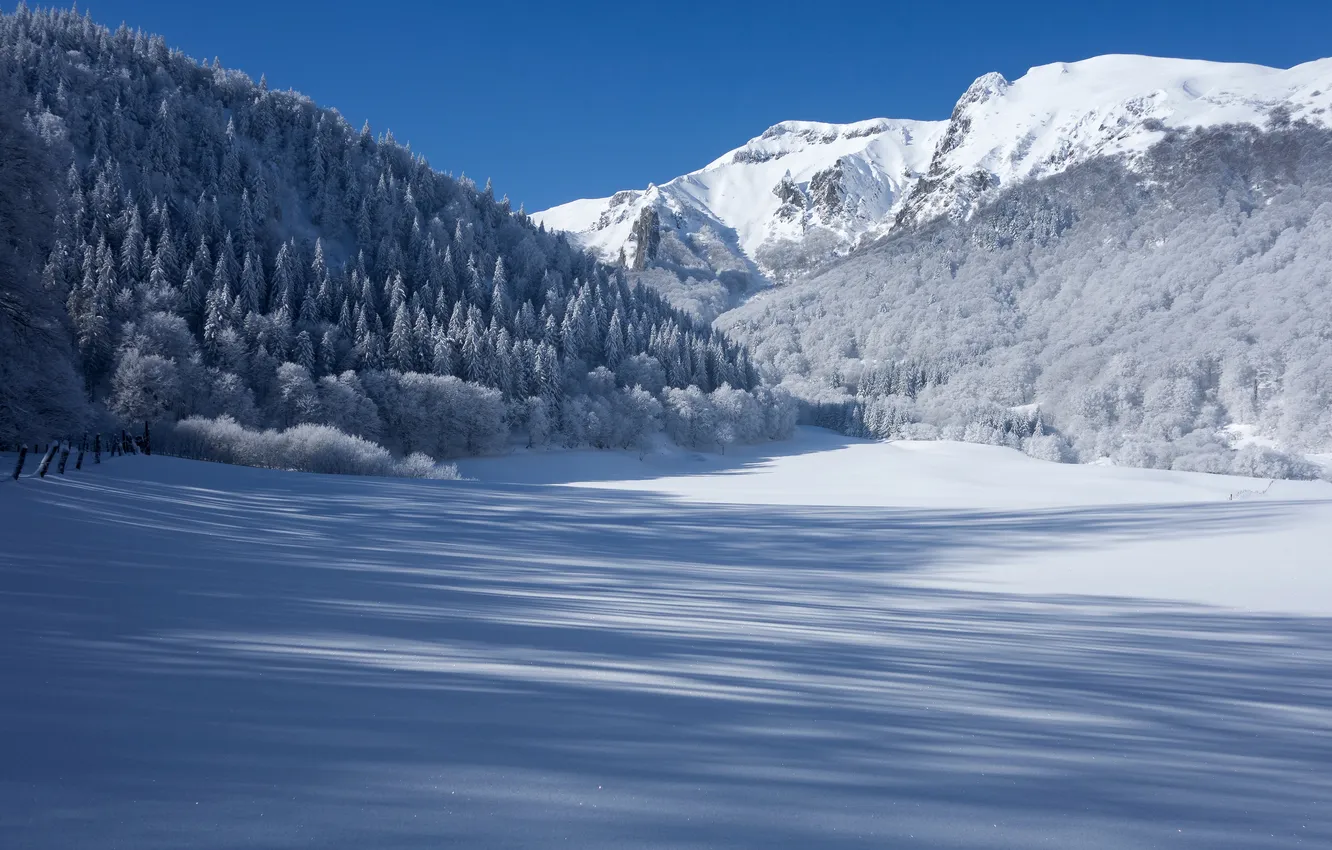 Photo wallpaper winter, forest, snow, mountains, France, shadow, France, Auvergne