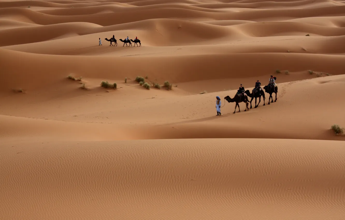 Photo wallpaper Sand, Desert, People, Dunes, The dunes, Walk, Camels, Sands