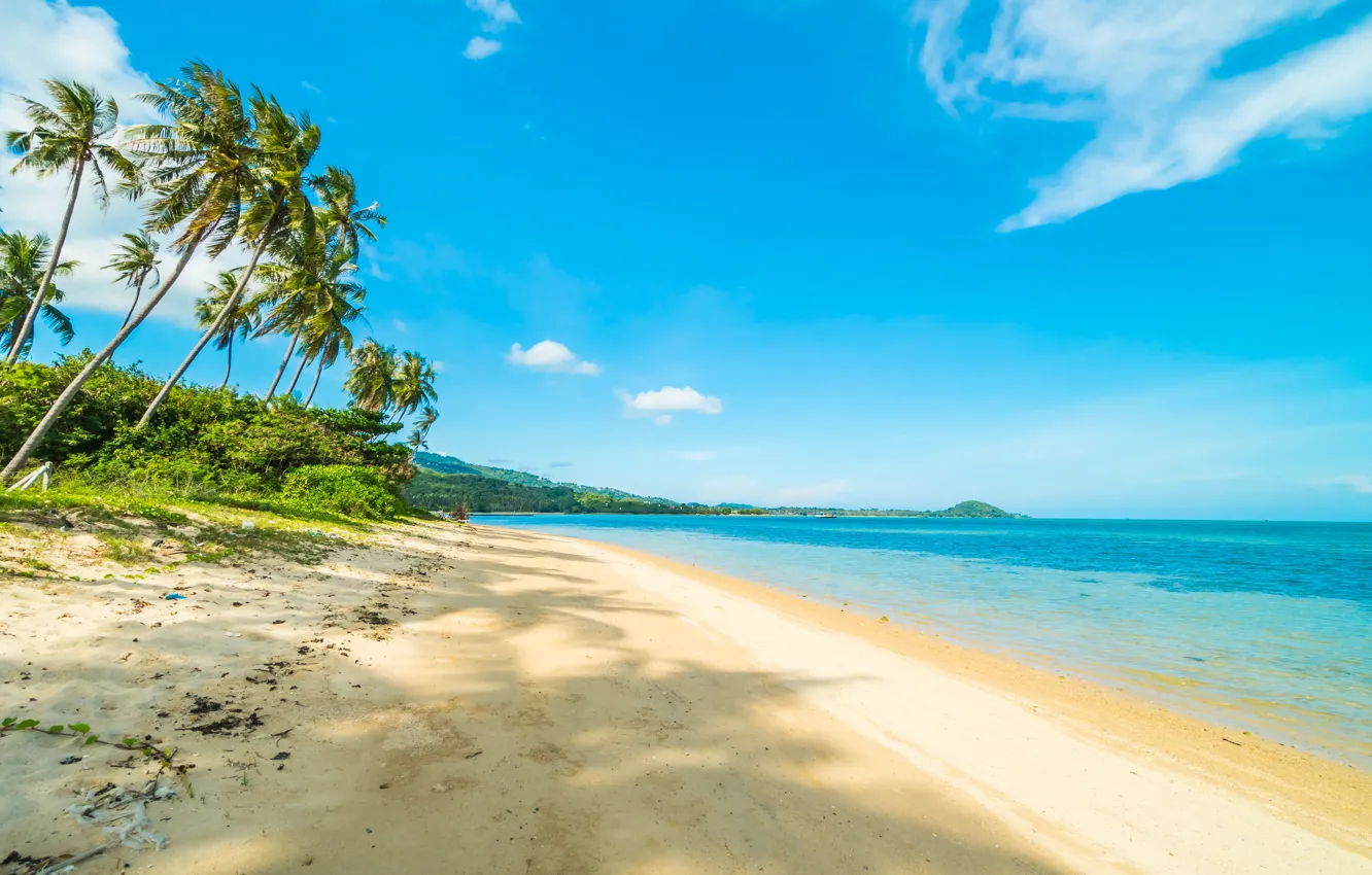Photo wallpaper sand, sea, wave, beach, summer, the sky, palm trees, shore