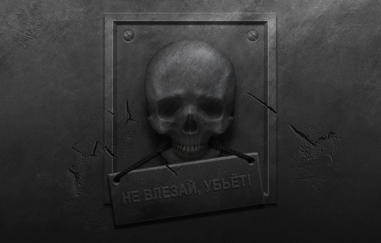 Photo wallpaper metal, cracked, wall, plate, skull