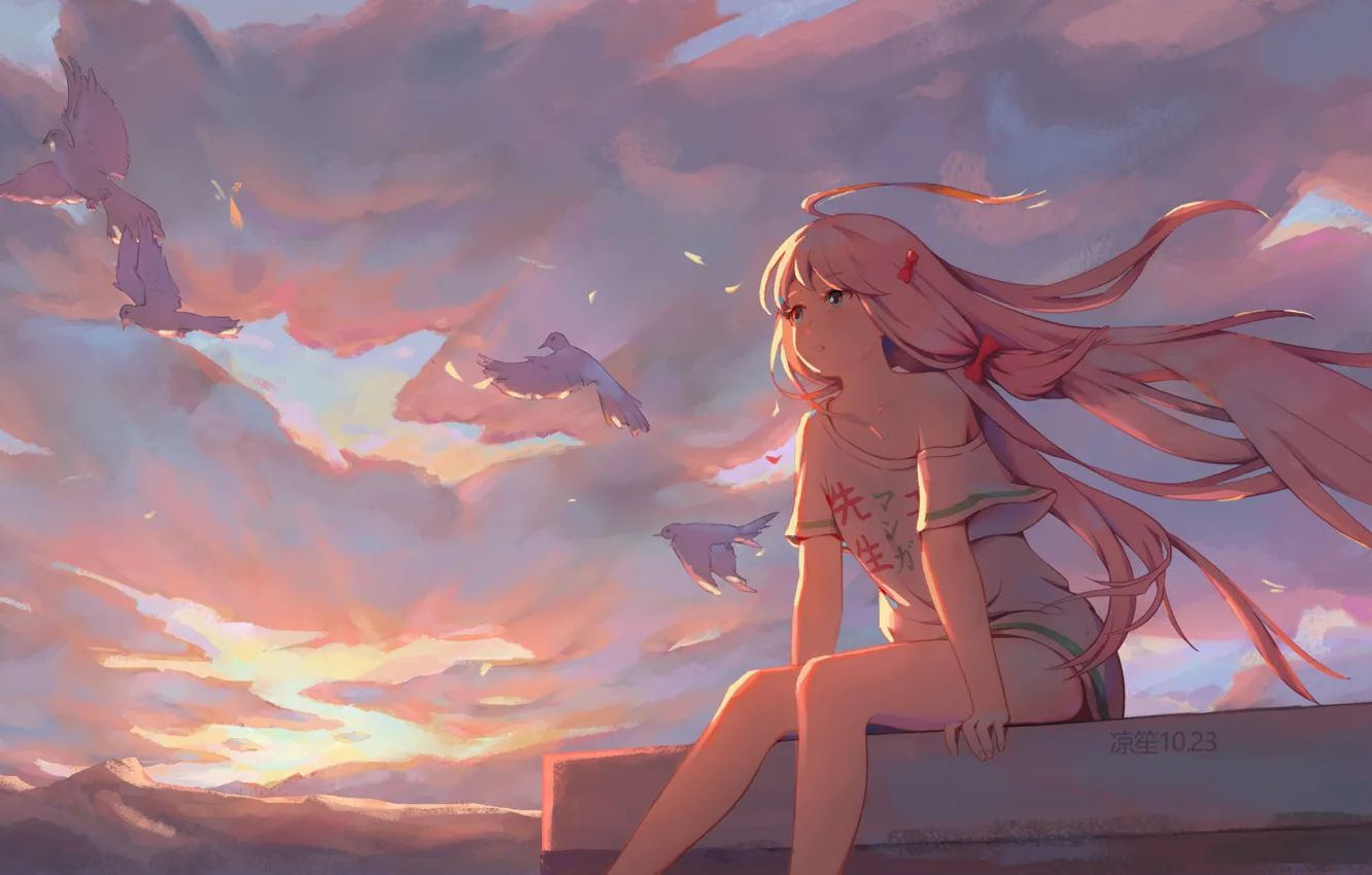 Photo wallpaper roof, the sky, girl, bird, Kobayashi-san Chi no Maid Dragon, Carry Kamui