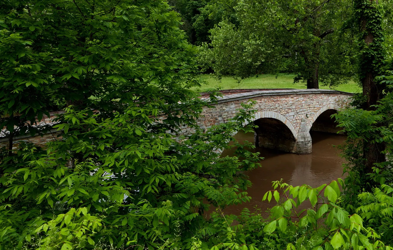 Photo wallpaper forest, trees, landscape, bridge, Park, river, USA, Maryland