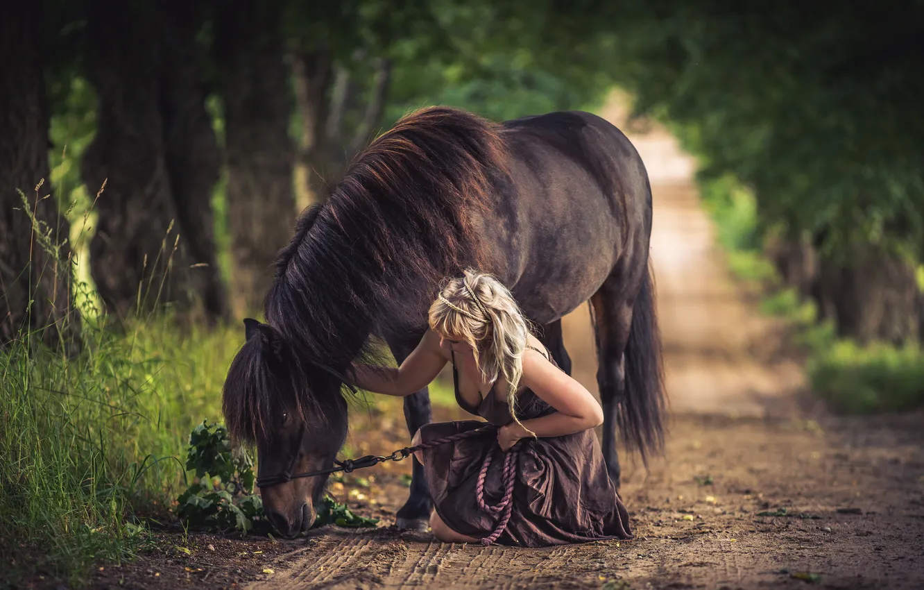Photo wallpaper road, girl, horse