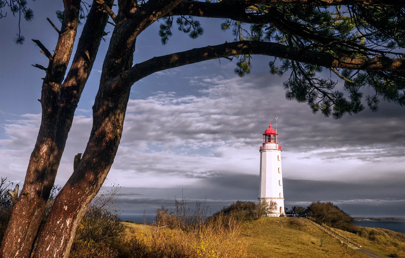 Photo wallpaper sea, the sky, clouds, trees, coast, lighthouse, Germany, horizon