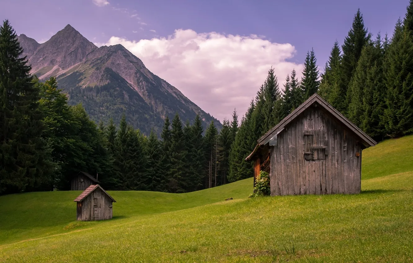 Photo wallpaper field, forest, clouds, mountains, ate, Alps, meadow, the barn