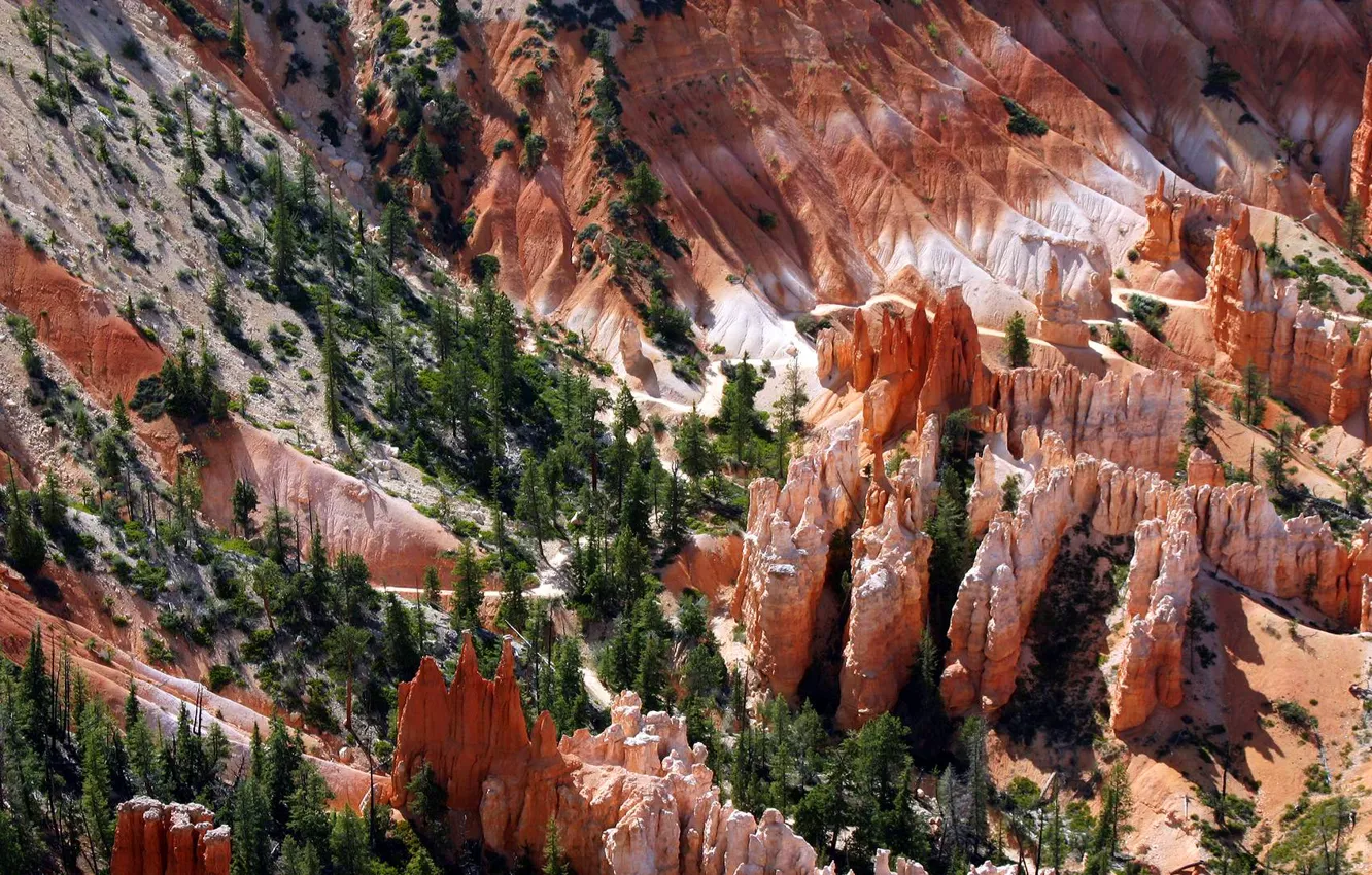 Photo wallpaper trees, mountains, rocks