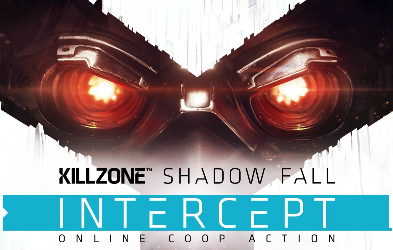 Photo wallpaper Killzone Shadow Fall, Sony Computer Entertainment, Guerrilla Games, In Gлену Killzone Shadow Fall