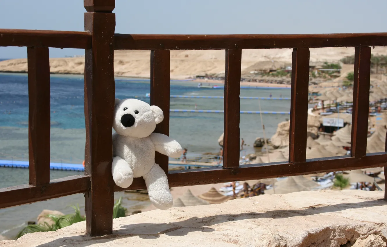 Photo wallpaper sea, smile, mood, stay, toy, bear, Egypt, journey