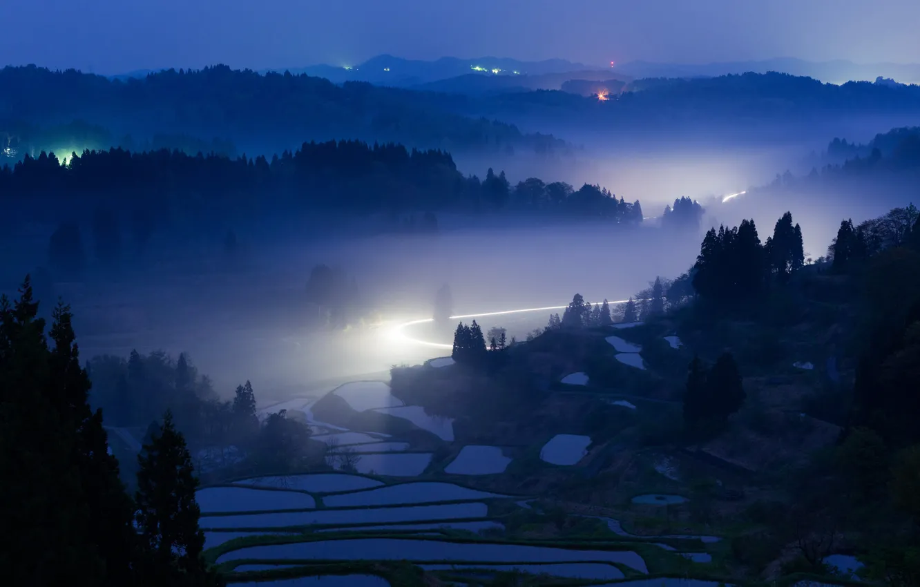 Photo wallpaper forest, water, light, trees, night, lights, fog, plantation