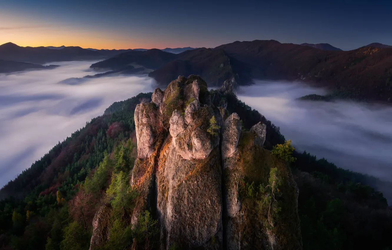 Photo wallpaper forest, clouds, landscape, sunset, mountains, nature, rocks, the evening