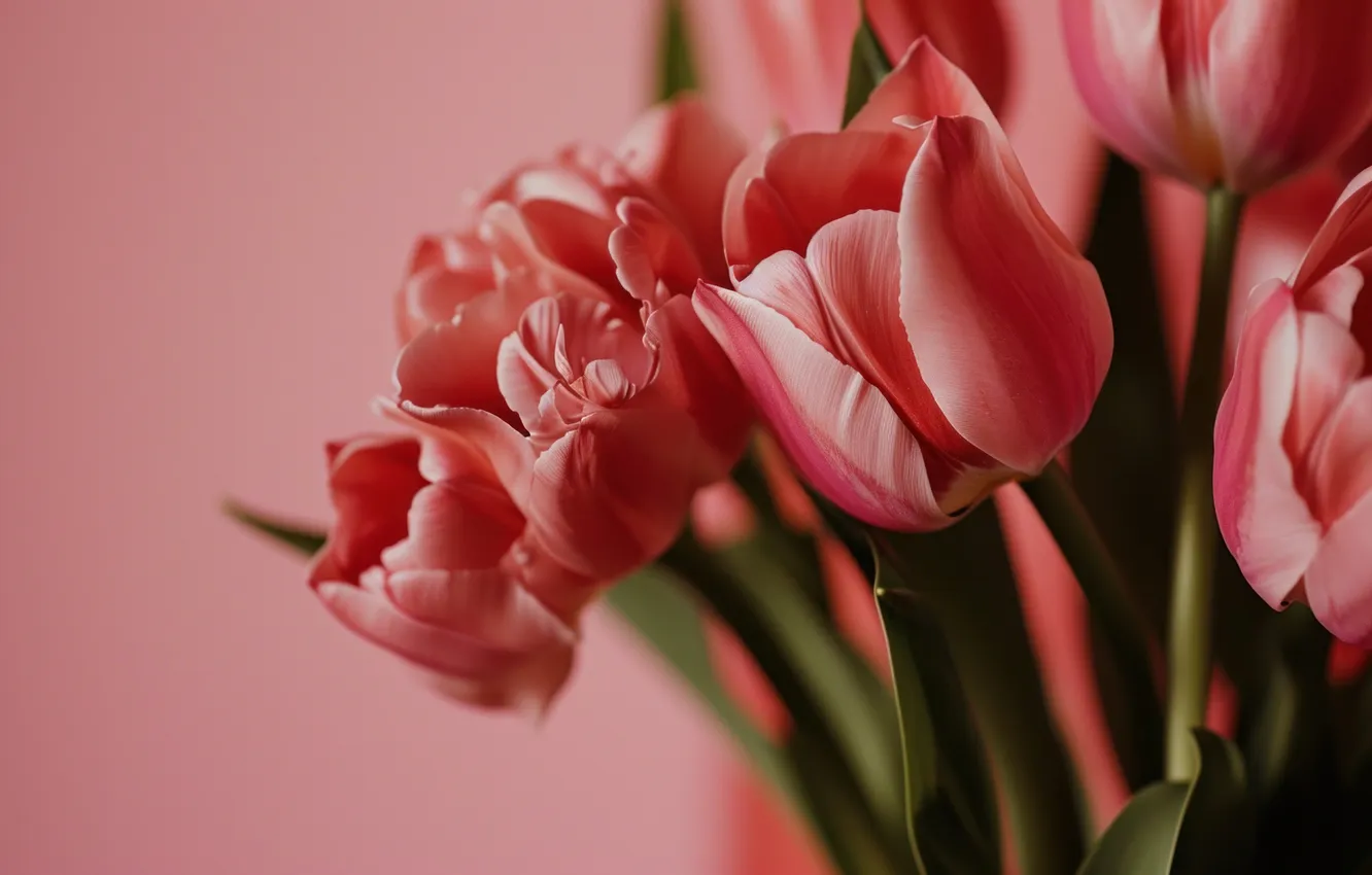 Photo wallpaper flowers, holiday, bouquet, spring, tulips, March 8, AI art, universal holiday background