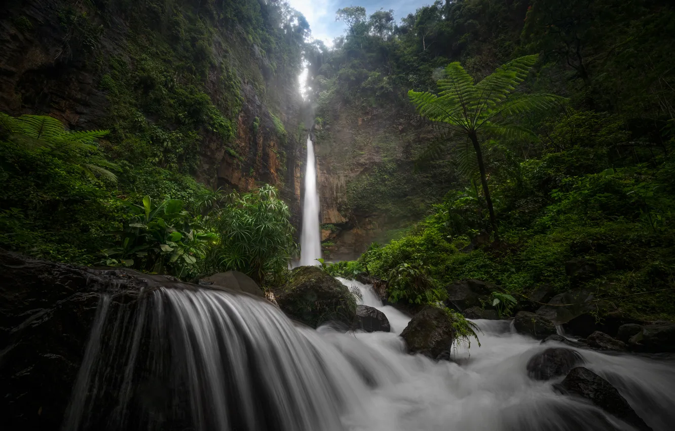 Photo wallpaper forest, vegetation, waterfall, jungle