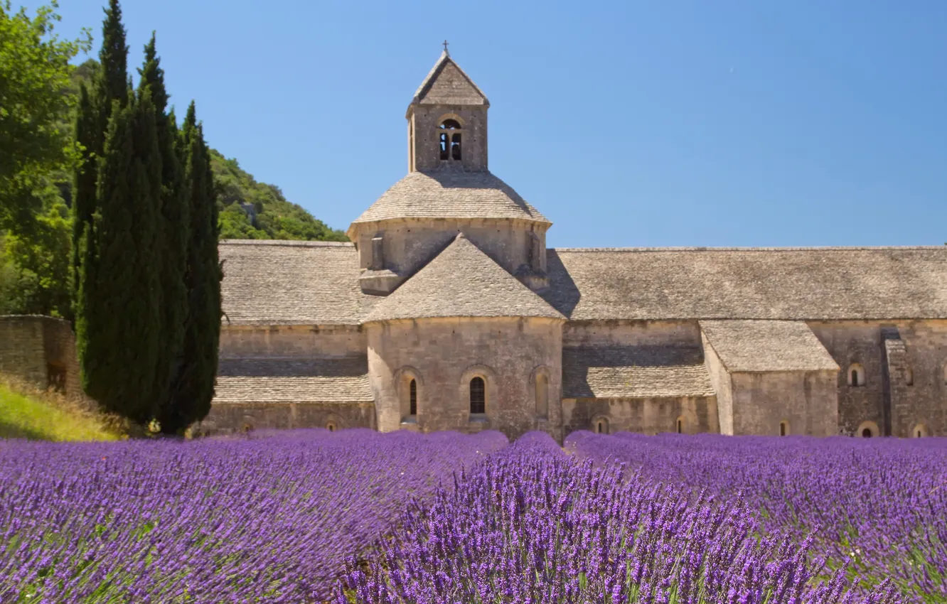 Photo wallpaper field, the sky, landscape, flowers, nature, spring, lavender, Purple flowers