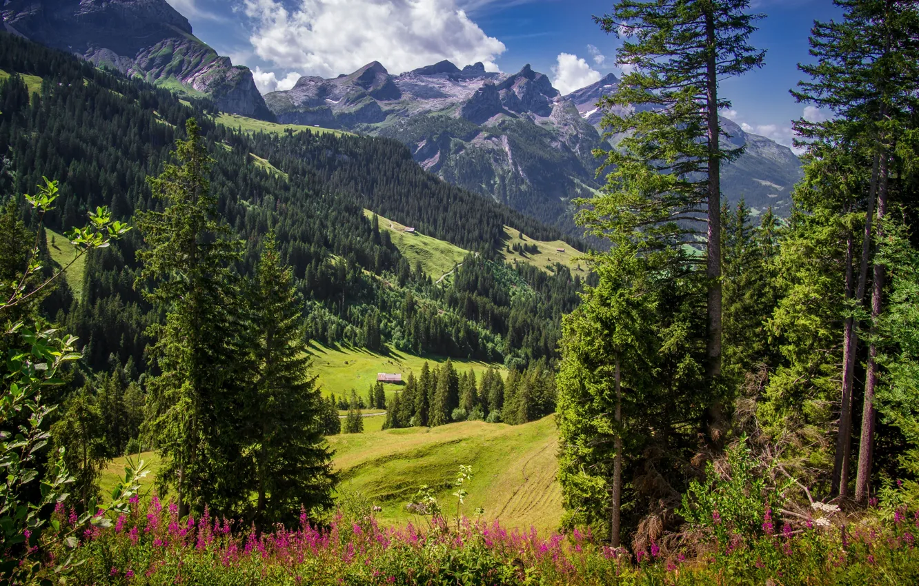 Photo wallpaper mountains, Switzerland, Alps, Sanetsch horn