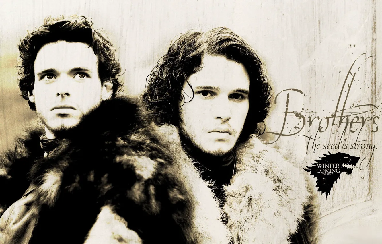 Photo wallpaper Game of Thrones, Game of thrones, Jon Snow, Jon Snow, Rob Stark, Rob Stark