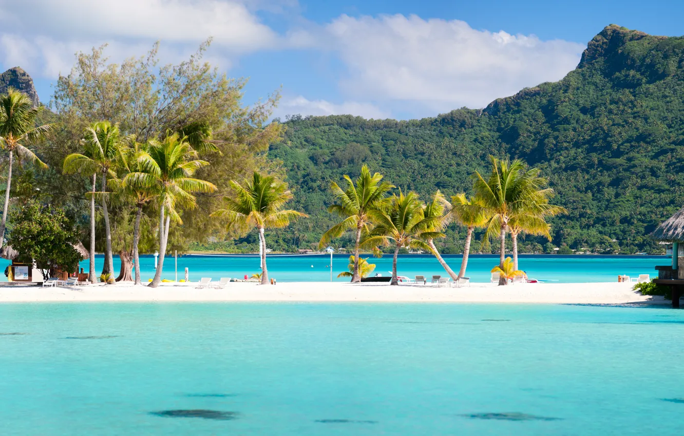 Photo wallpaper sea, mountains, palm trees, exotic