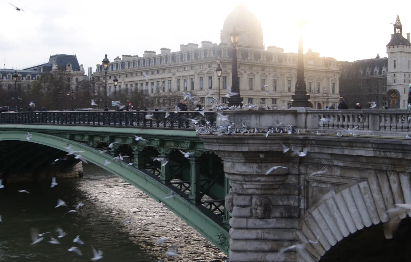 Photo wallpaper the sun, bridge, Paris, seagulls