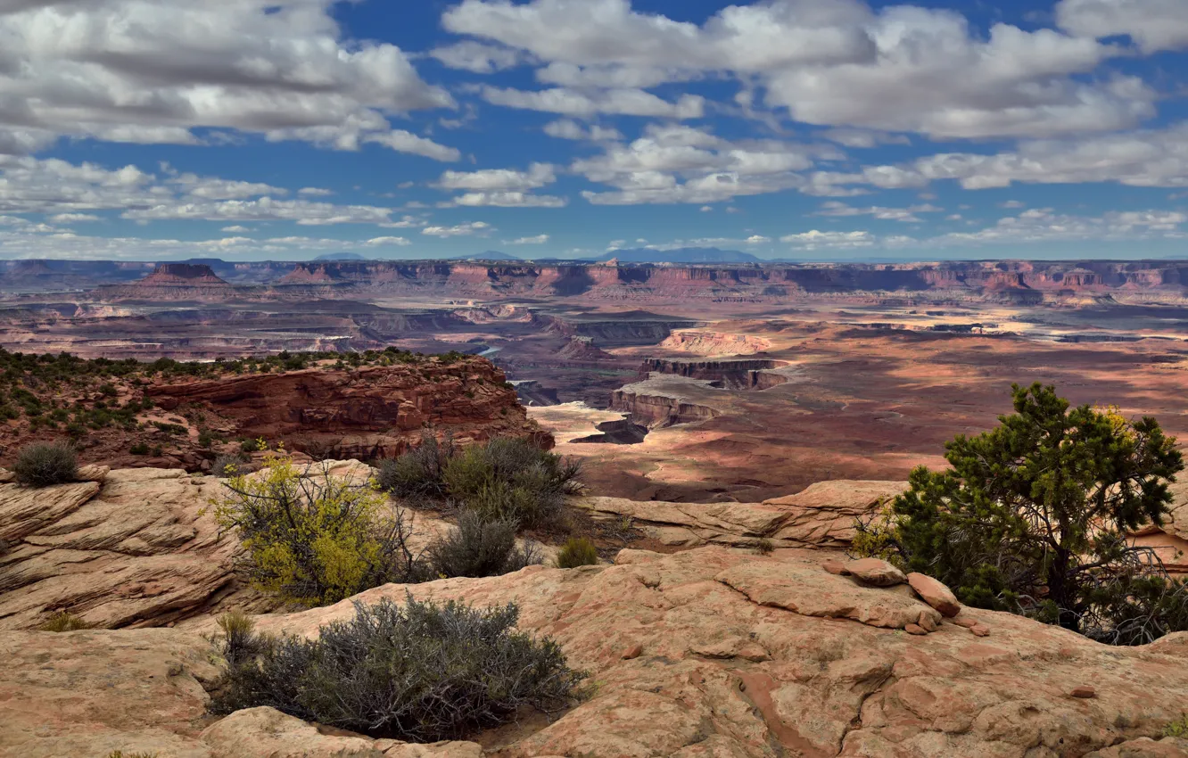 Photo wallpaper the sky, clouds, nature, landscape, the bushes, canyon, desert