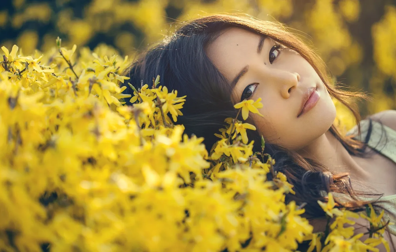 Photo wallpaper flowers, face, hair, brunette, Asian