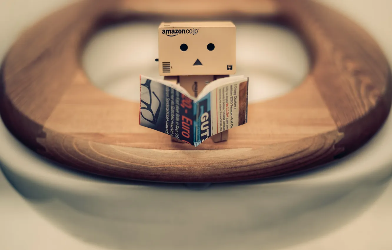 Photo wallpaper box, the closet, danbo