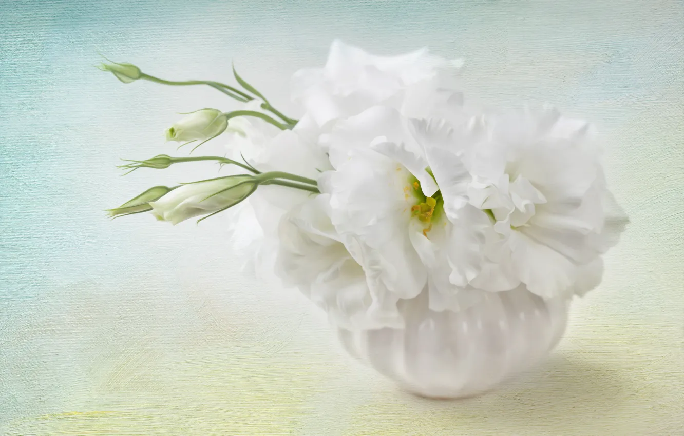 Photo wallpaper background, Flowers, Flower, background, eustoma, Floral