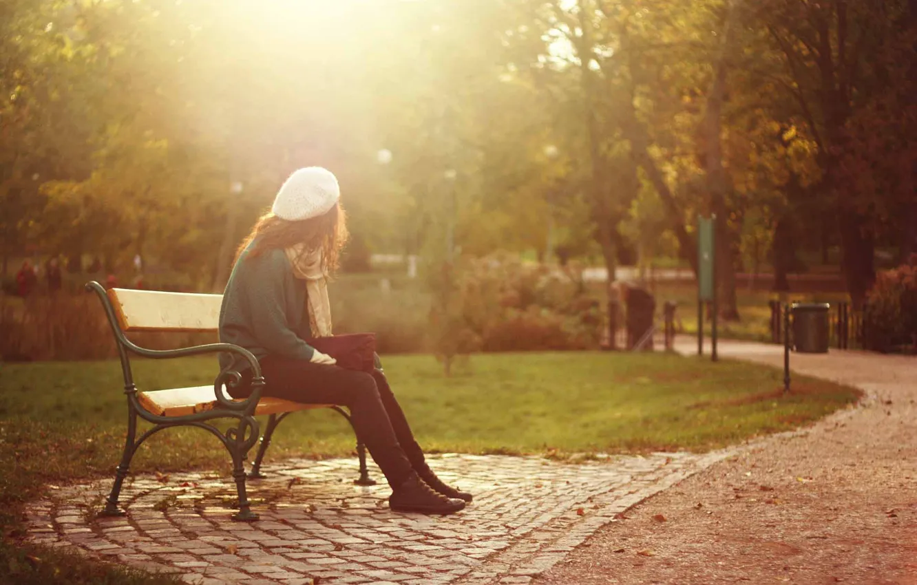 Photo wallpaper girl, autumn, bench, sunlight, fall, Seat, daylight