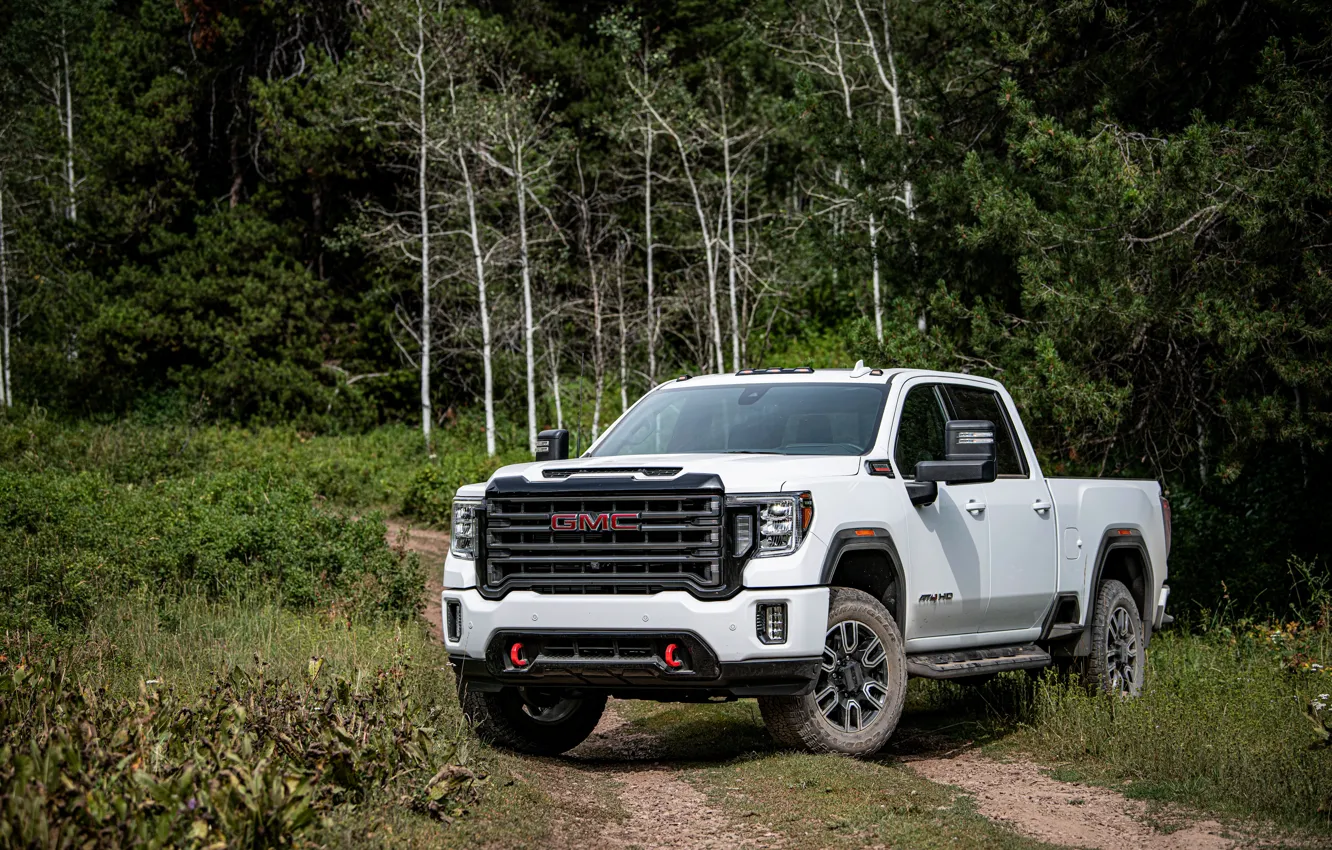 Photo wallpaper white, trees, vegetation, pickup, GMC, Sierra, AT4, 2020