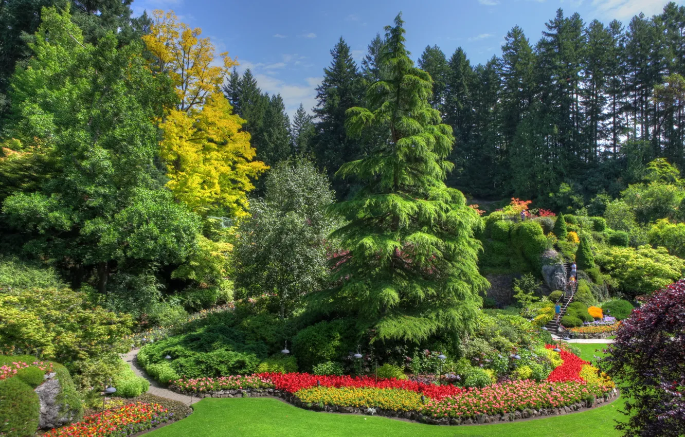 Photo wallpaper greens, trees, flowers, stones, lawn, garden, Canada, ladder