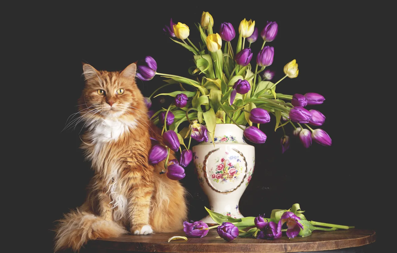 Photo wallpaper cat, cat, bouquet, vase, red