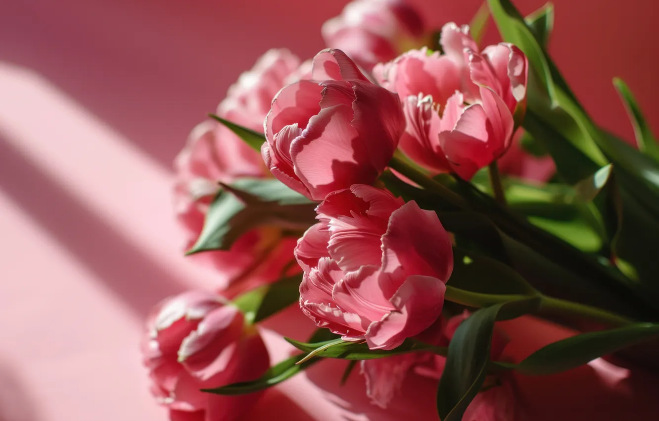 Photo wallpaper flowers, holiday, bouquet, tulips, universal holiday background