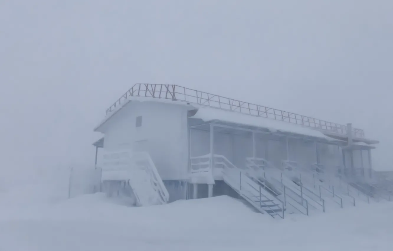 Photo wallpaper cold, winter, snow, North, Blizzard, YANAO, Brilliant