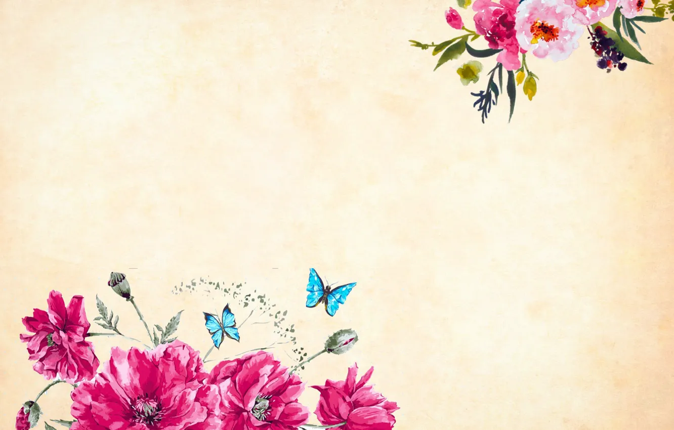 Photo wallpaper butterfly, flowers, Background, Texture