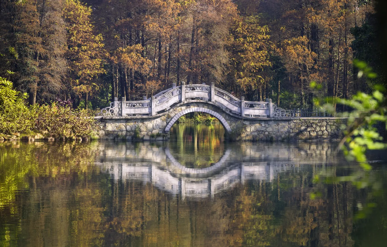 Photo wallpaper autumn, forest, bridge, nature, lake, Asia