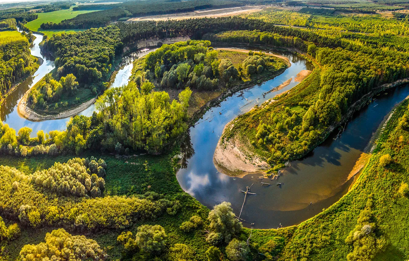 Photo wallpaper greens, summer, the sun, trees, river, field, Czech Republic, panorama