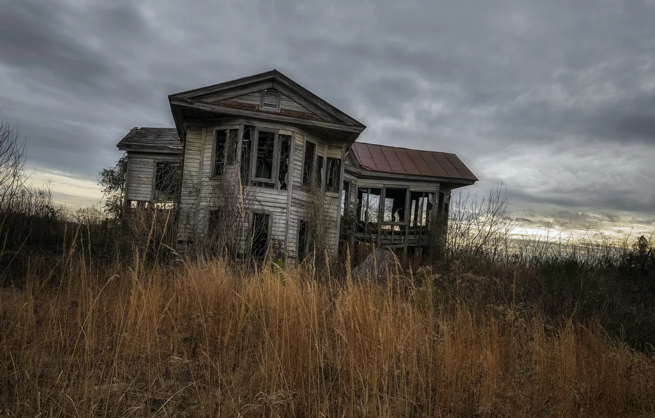 Photo wallpaper grass, home, the evening