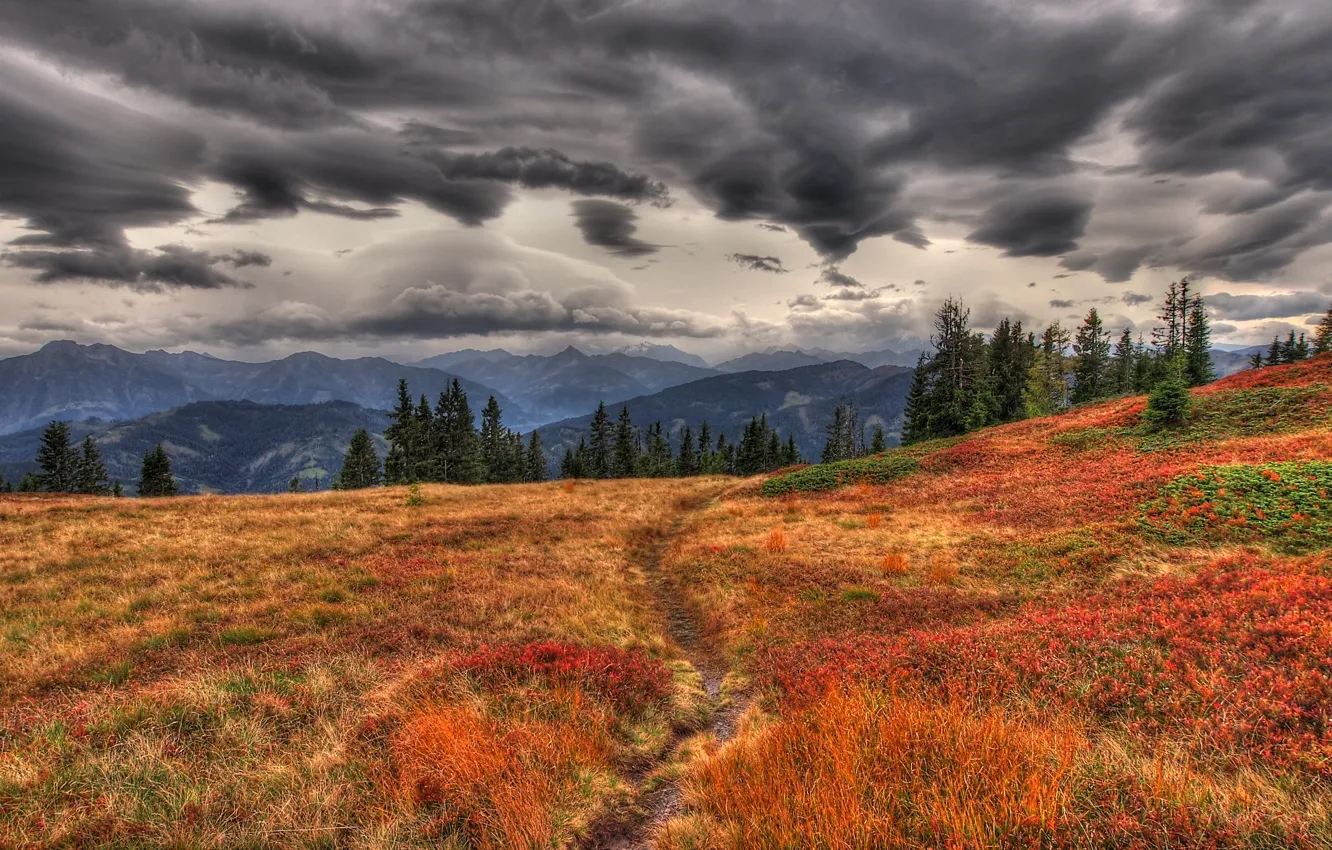 Photo wallpaper autumn, grass, mountains, yellow, clouds, overcast, track, path