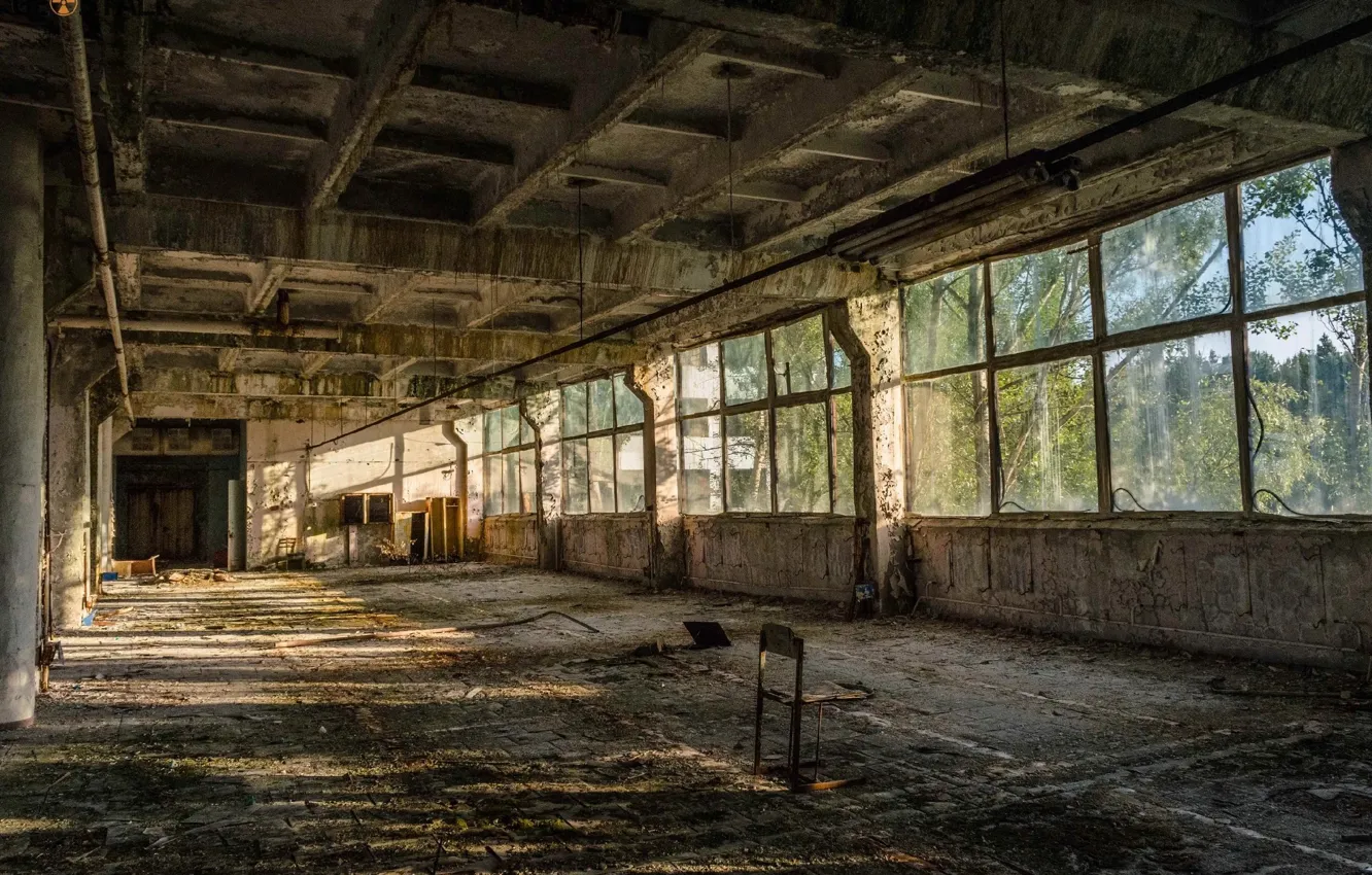 Photo wallpaper trees, interior, window, chair, architecture, the room, abandoned building