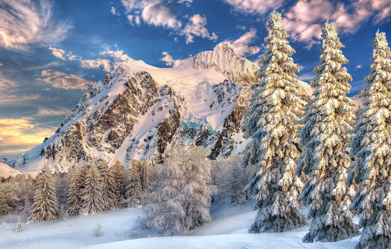 Photo wallpaper winter, the sky, clouds, snow, trees, landscape, mountains, spruce