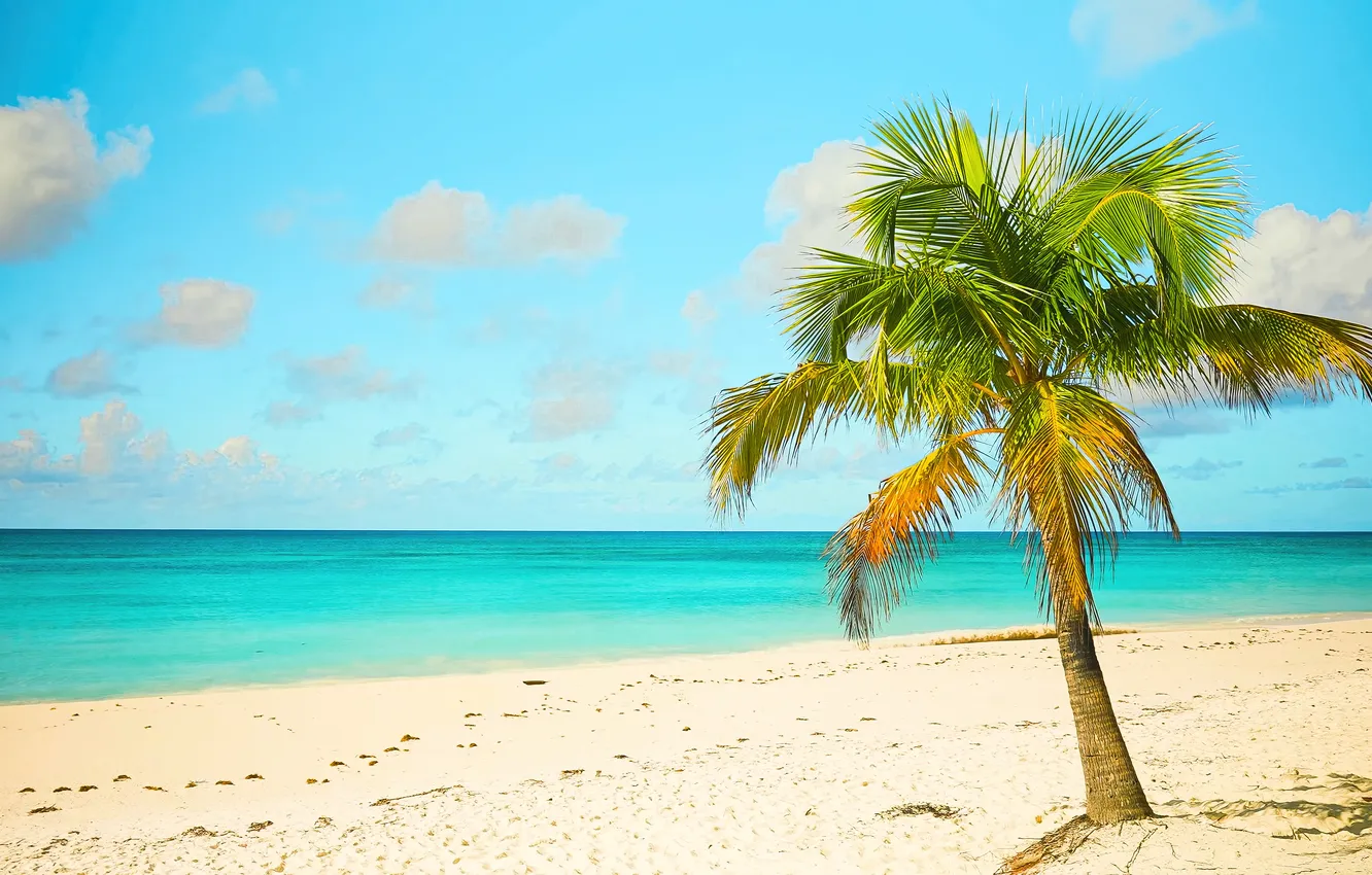 Photo wallpaper sand, sea, wave, beach, summer, the sky, palm trees, shore